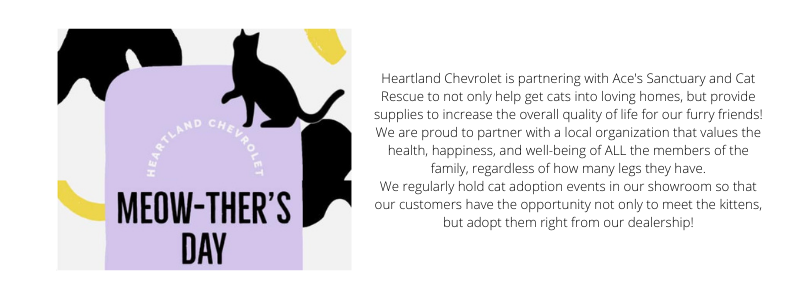 Heartland Community Event